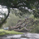 Storm damage in Coral Gables, Florida. Photo: AP